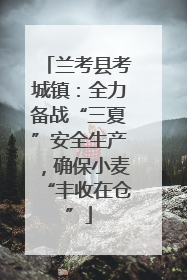兰考县考城镇：全力备战“三夏”安全生产，确保小麦“丰收在仓”