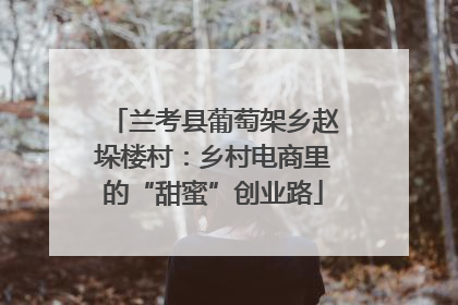 兰考县葡萄架乡赵垛楼村：乡村电商里的“甜蜜”创业路