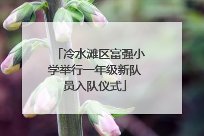 冷水滩区富强小学举行一年级新队员入队仪式