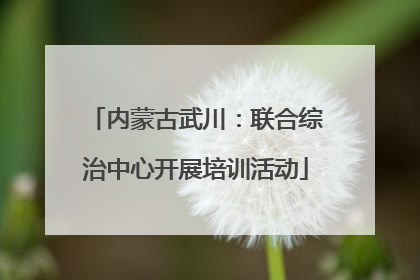 内蒙古武川：联合综治中心开展培训活动