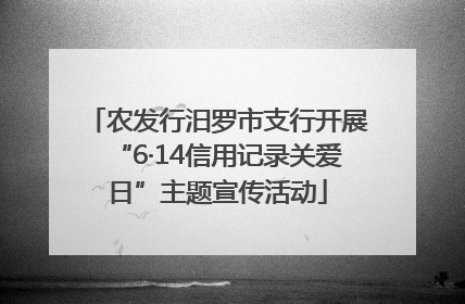 农发行汨罗市支行开展“6·14信用记录关爱日”主题宣传活动