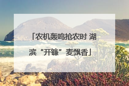 农机轰鸣抢农时 湖滨“开镰”麦飘香