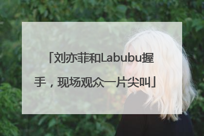 刘亦菲和Labubu握手，现场观众一片尖叫