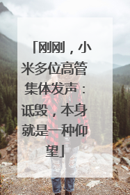 刚刚，小米多位高管集体发声：诋毁，本身就是一种仰望