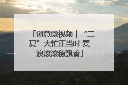 创意微视频｜“三夏”大忙正当时 麦浪滚滚穗飘香