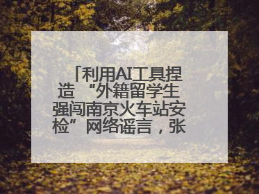 利用AI工具捏造 “外籍留学生强闯南京火车站安检”网络谣言，张某燕被行政拘留