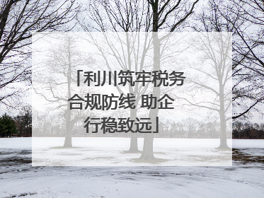利川筑牢税务合规防线 助企行稳致远