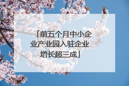 前五个月中小企业产业园入驻企业增长超三成