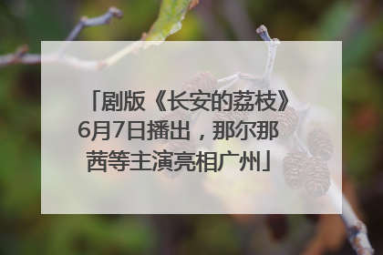 剧版《长安的荔枝》6月7日播出，那尔那茜等主演亮相广州