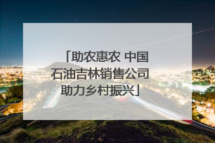 助农惠农 中国石油吉林销售公司助力乡村振兴