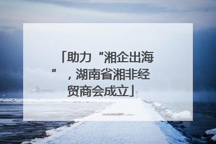 助力“湘企出海”，湖南省湘非经贸商会成立