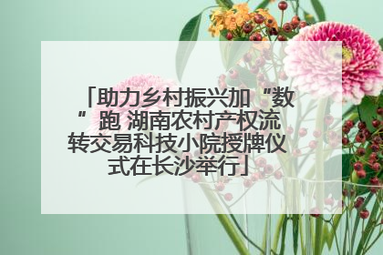 助力乡村振兴加“数”跑 湖南农村产权流转交易科技小院授牌仪式在长沙举行