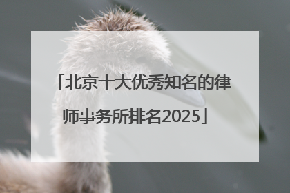 北京十大优秀知名的律师事务所排名2025