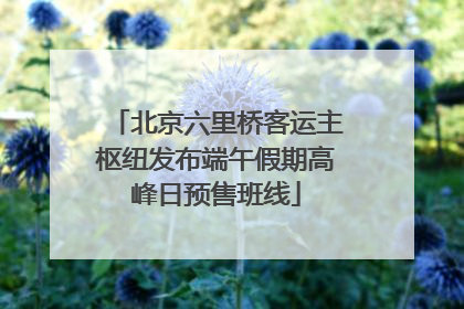 北京六里桥客运主枢纽发布端午假期高峰日预售班线