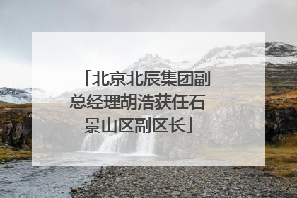 北京北辰集团副总经理胡浩获任石景山区副区长