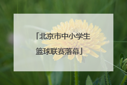 北京市中小学生篮球联赛落幕