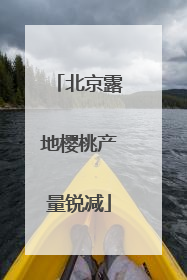 北京露地樱桃产量锐减