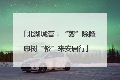 北湖城管：“剪”除隐患树“修”来安居行