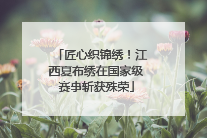 匠心织锦绣！江西夏布绣在国家级赛事斩获殊荣