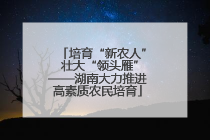 培育“新农人” 壮大“领头雁”——湖南大力推进高素质农民培育