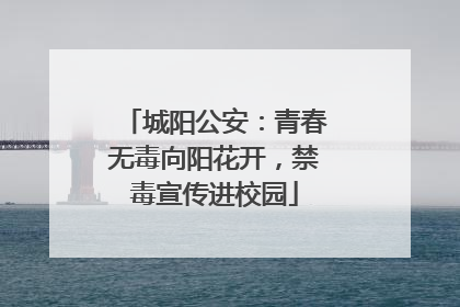 城阳公安：青春无毒向阳花开，禁毒宣传进校园