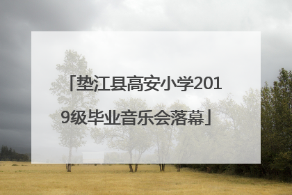 垫江县高安小学2019级毕业音乐会落幕