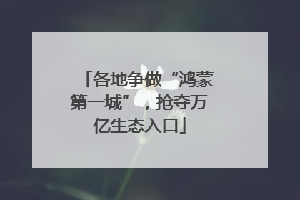 各地争做“鸿蒙第一城”，抢夺万亿生态入口