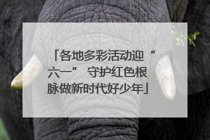 各地多彩活动迎“六一” 守护红色根脉做新时代好少年