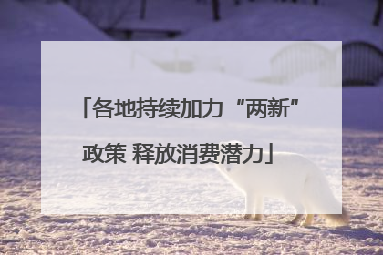 各地持续加力“两新”政策 释放消费潜力