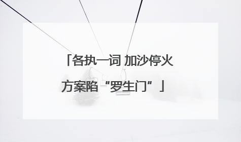 各执一词 加沙停火方案陷“罗生门”