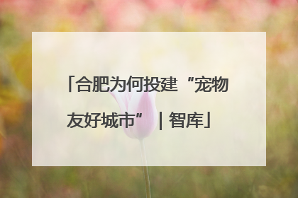 合肥为何投建“宠物友好城市”｜智库