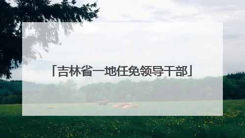 吉林省一地任免领导干部