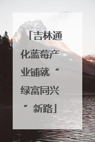 吉林通化蓝莓产业铺就“绿富同兴”新路
