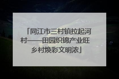 同江市三村镇拉起河村——田园织锦产业旺 乡村焕彩文明浓