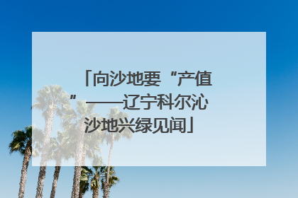 向沙地要“产值”——辽宁科尔沁沙地兴绿见闻