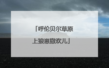 呼伦贝尔草原上狼崽撒欢儿
