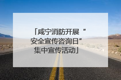 咸宁消防开展“安全宣传咨询日”集中宣传活动