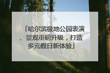 哈尔滨极地公园表演、景观重磅升级，打造多元假日新体验