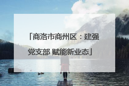 商洛市商州区：建强党支部 赋能新业态