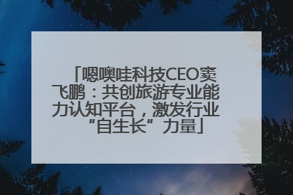嗯噢哇科技CEO窦飞鹏：共创旅游专业能力认知平台，激发行业“自生长”力量