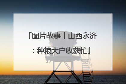 图片故事丨山西永济：种粮大户收获忙