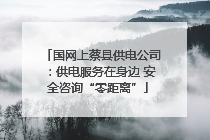 国网上蔡县供电公司：供电服务在身边 安全咨询“零距离”