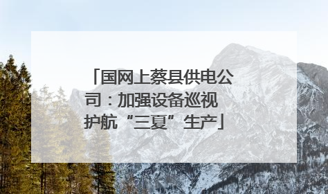 国网上蔡县供电公司：加强设备巡视 护航“三夏”生产