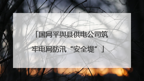 国网平舆县供电公司筑牢电网防汛“安全堤”