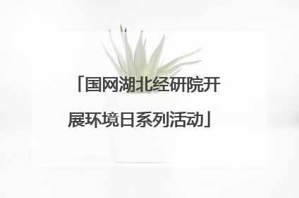 国网湖北经研院开展环境日系列活动