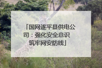 国网遂平县供电公司：强化安全意识 筑牢网安防线
