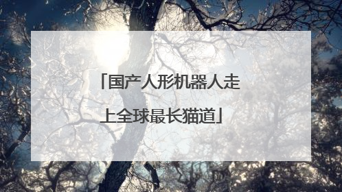 国产人形机器人走上全球最长猫道