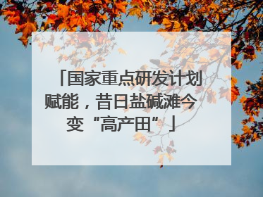 国家重点研发计划赋能，昔日盐碱滩今变“高产田”