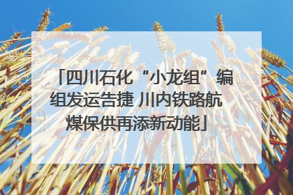 四川石化“小龙组”编组发运告捷 川内铁路航煤保供再添新动能