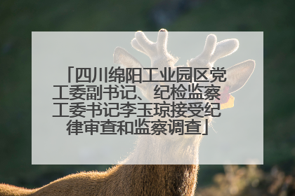 四川绵阳工业园区党工委副书记、纪检监察工委书记李玉琼接受纪律审查和监察调查